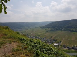 Mosel-Kehren-Tour