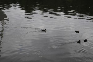 Gemütlich und Sicher zum Hariksee.