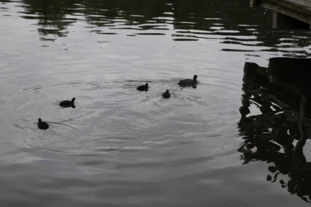 Gemütlich und Sicher zum Hariksee.