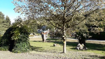 Kleine Tour Monschau-Belgien