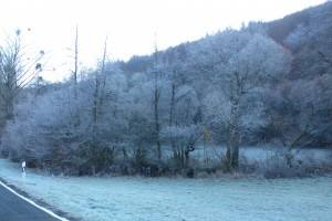 Kleine Tour an die Ahr