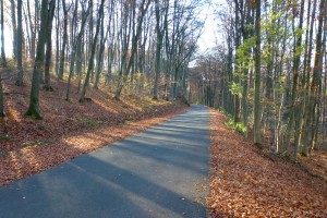 Kleine Tour an die Ahr