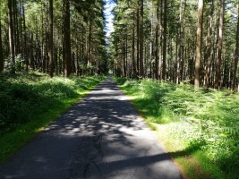 Auf zur Winkelwerkstatt