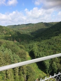 Spontanfahrt zur Hängeseilbrücke Geierlay im Hunsrück