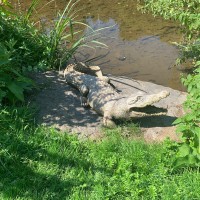 Tour zur Dornauelsmühle