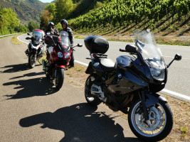 Spontanfahrt an die Steilhänge der Mosel