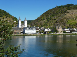 Spontanfahrt an die Steilhänge der Mosel