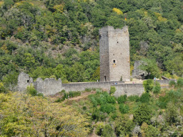 Spontanfahrt an die Steilhänge der Mosel