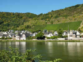 Spontanfahrt an die Steilhänge der Mosel