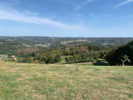 GG Rechts und Links vom Rhein