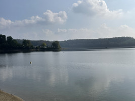 GG zur zornigen Ameise