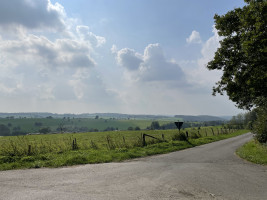 GG zur zornigen Ameise