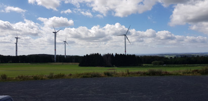 GG zur zornigen Ameise