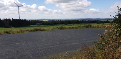 GG zur zornigen Ameise