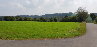 GG zur zornigen Ameise