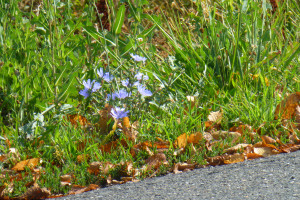 BFR Jahrestour 2022 in den Spessart zum Hotel Spechtshaardt