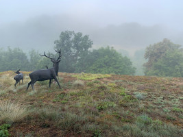 BFR Jahrestour 2022 in den Spessart zum Hotel Spechtshaardt