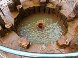 Kurventour zum Sprudelwasser