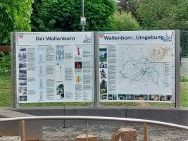 Kurventour zum Sprudelwasser