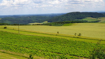 Kurventour zum Sprudelwasser