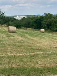 Slalom zum Radioteleskop