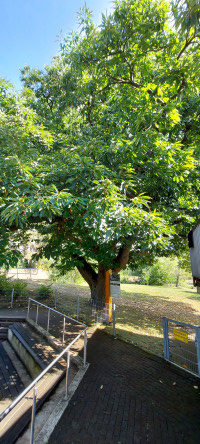 Gemütliche Tour zum Gut Kallerbend