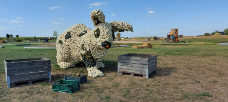 Gemütliche Tour zum Gut Kallerbend