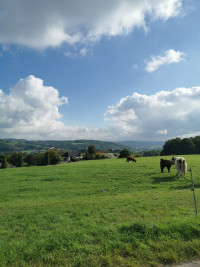 Samstagstour nach Bad Hönningen