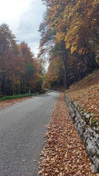 Zwei BFR'LER ERKUNDEN DEN di lago (Trentino province)