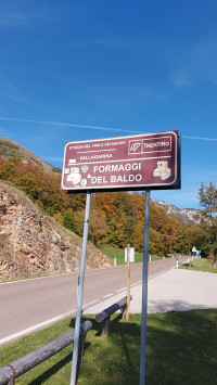 Zwei BFR'LER ERKUNDEN DEN di lago (Trentino province)