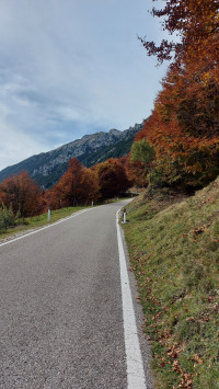 Zwei BFR'LER ERKUNDEN DEN di lago (Trentino province)