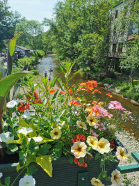 Ein Hauch von Niagara