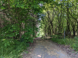 Runde um die großen Eifelmaare