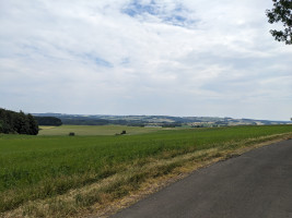 GG Immer der Nase nach