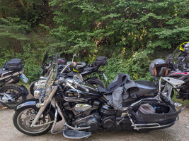 GG Immer der Nase nach